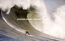 壹号娱乐官网-燃情比拼中，球员高举战旗，获得胜利